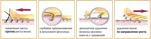 sugar2.jpg sugar2.jpg